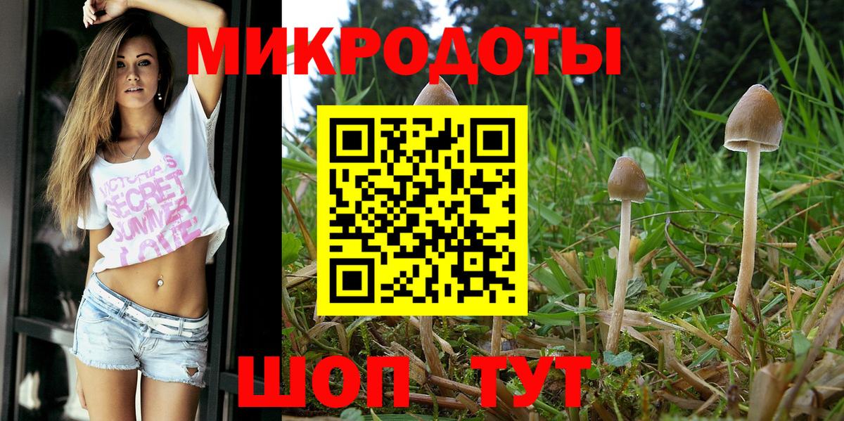 Псилоцибиновые грибы GOLDEN TEACHER  Вход с VPN  Галлюциногенные грибы GOLDEN TEACHER  Татарск 
