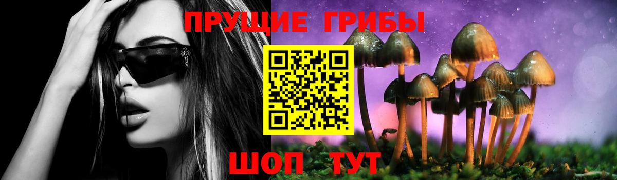 Галлюциногенные грибы GOLDEN TEACHER Татарск